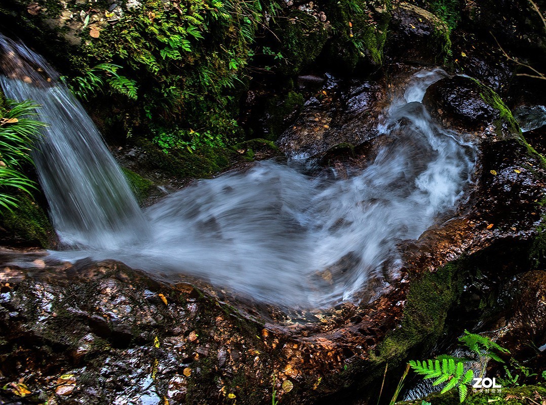 青城山后山飞泉沟1