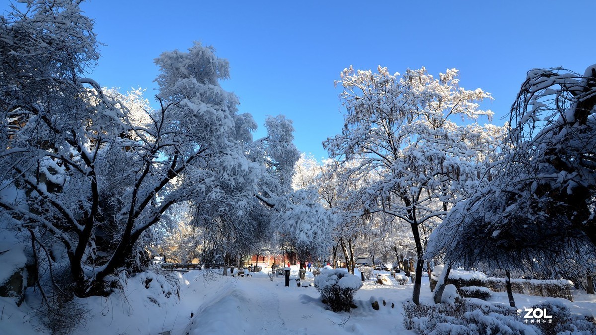 瑞雪兆丰年-中关村在线摄影论坛