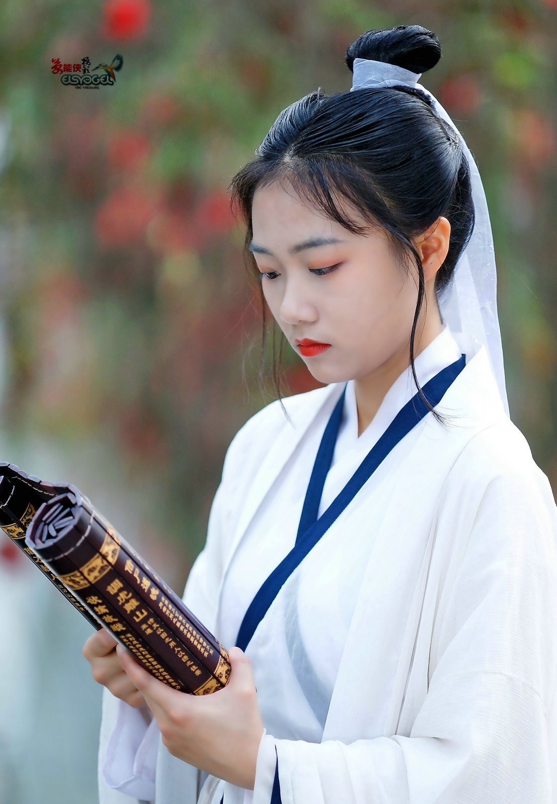 古风女书生小张