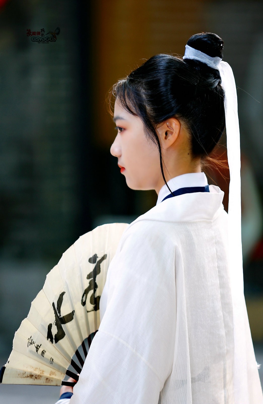 古风女书生小张