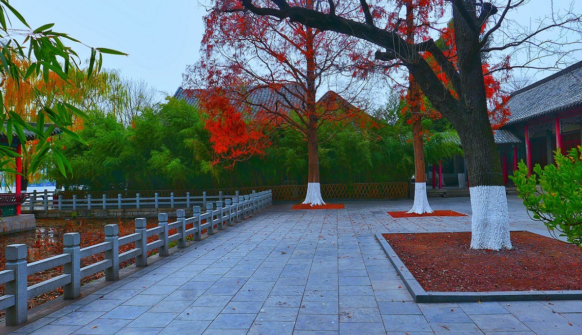 游济南景区随拍小景！