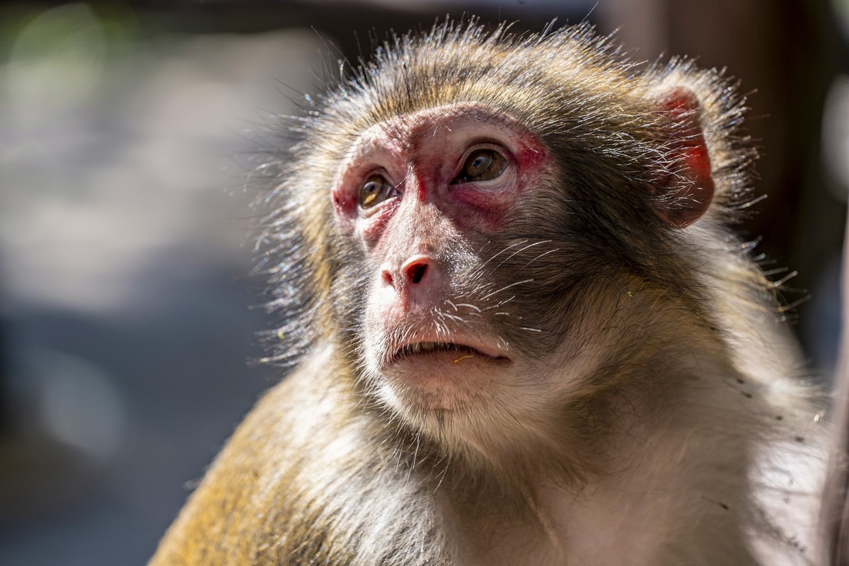 张家界：袁家界景区5