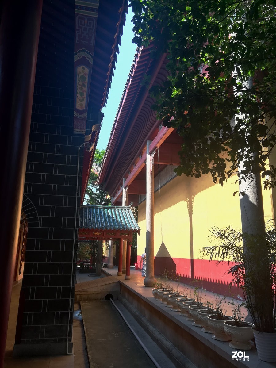 漫步星城 走街串巷（110）真阿兰若