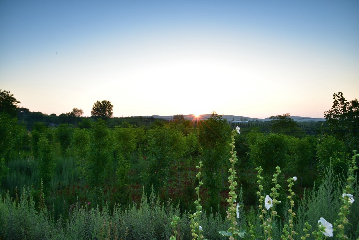 祥云星芒耶稣光