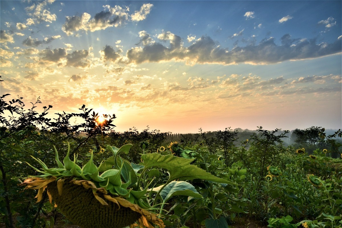 祥云星芒耶稣光