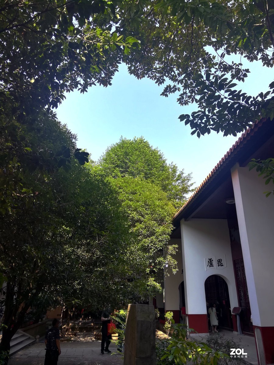 漫步星城 走街串巷（110）真阿兰若