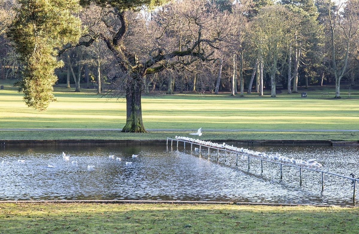 行摄英伦：冬日英格兰