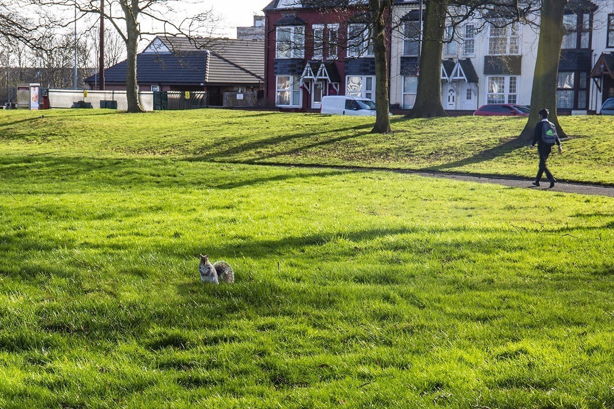 行摄英伦：冬日英格兰