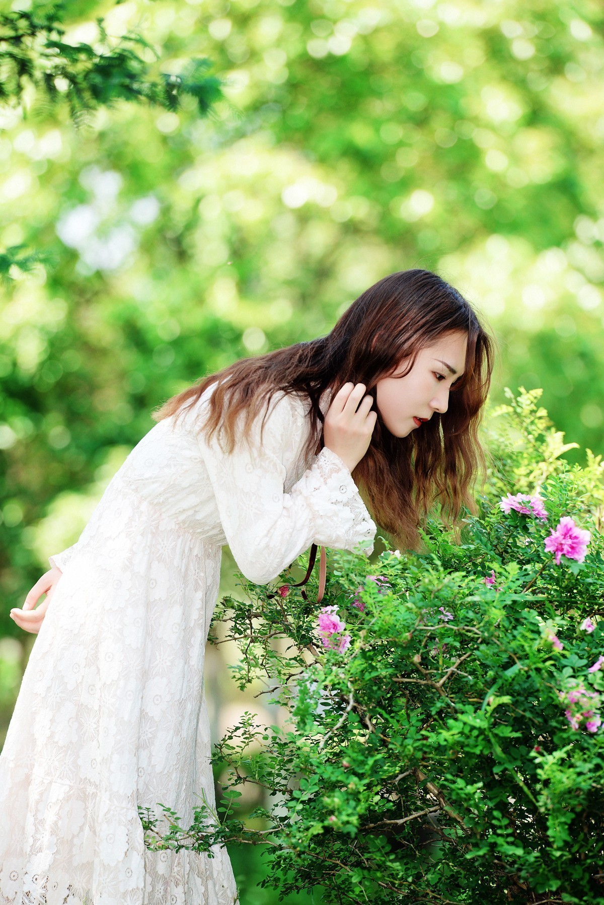 阳光下的玫瑰人像   85 1.8G,腾龙A009