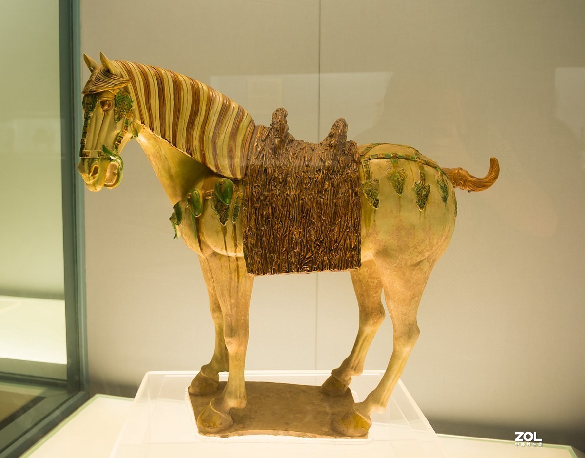 上海博物馆纪实（三）