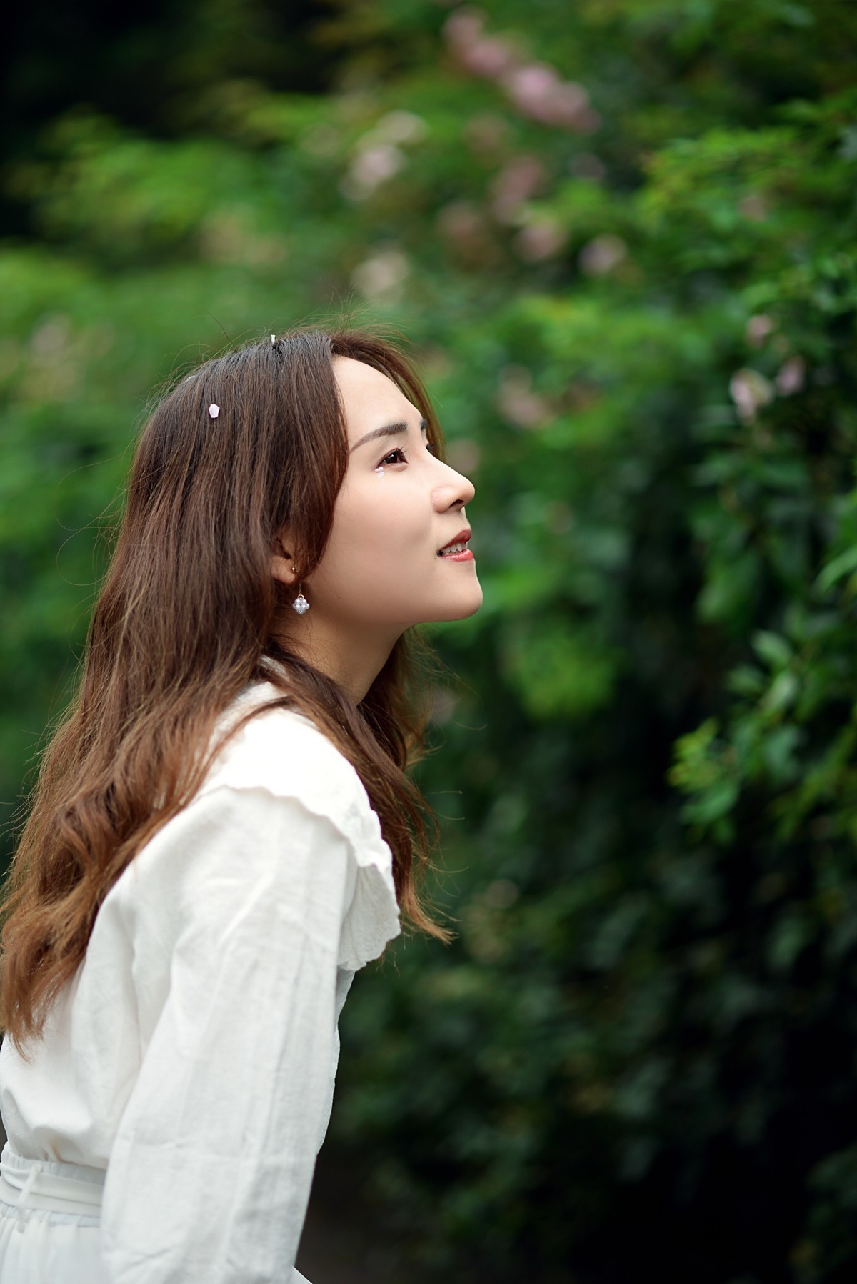 长沙烈士公园蔷薇花下拍美女