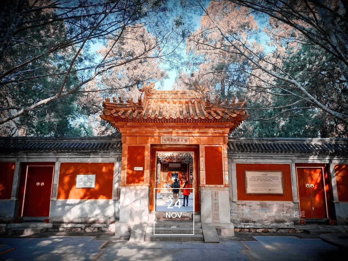 手機拍頤和園 別有風情