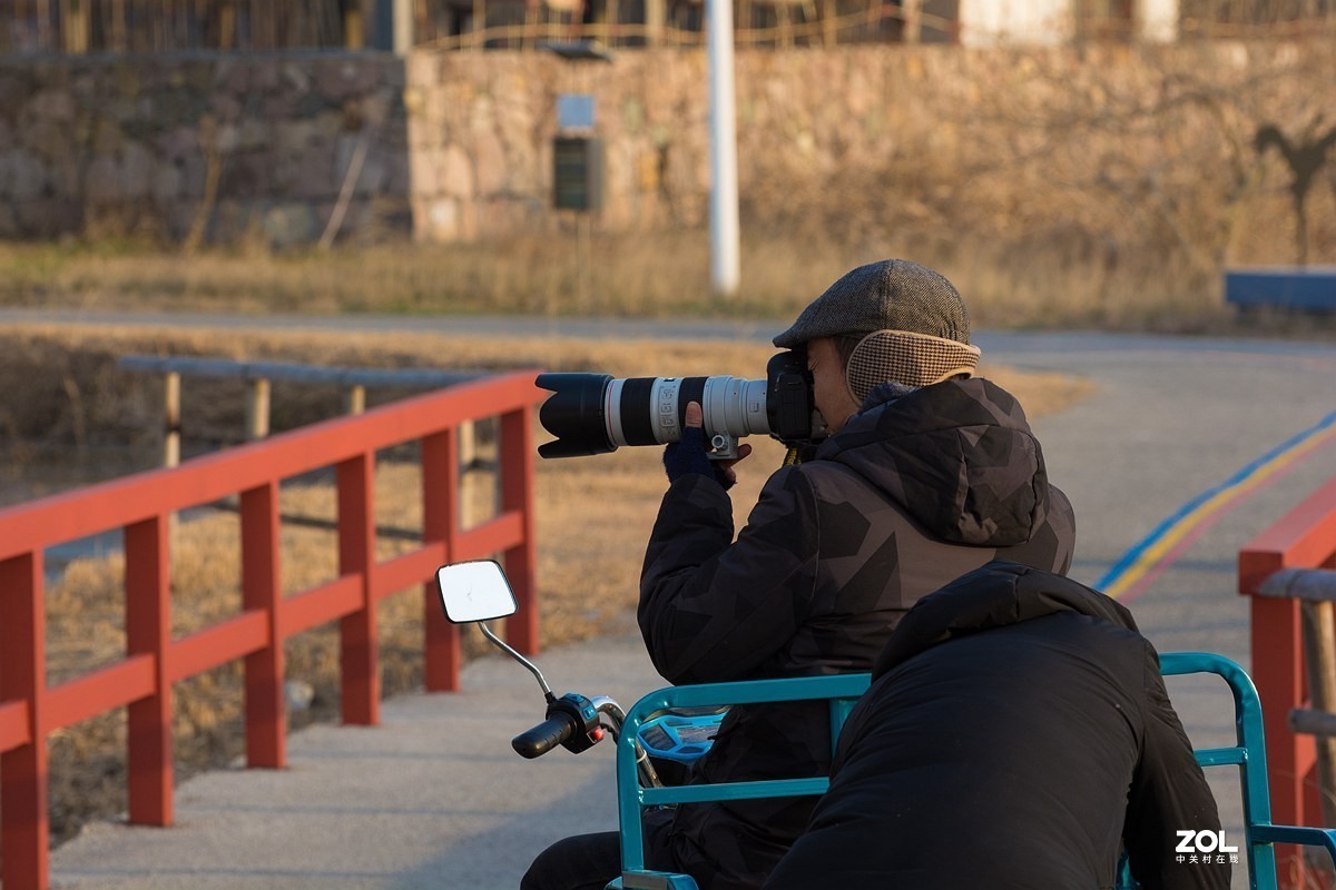 杭州湾湿地冬拍（19）