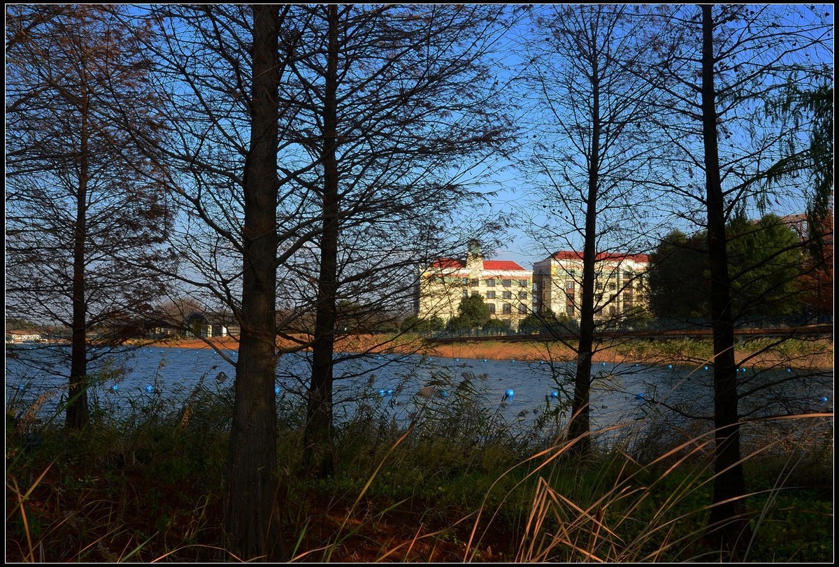 随拍3（迪士尼小镇）