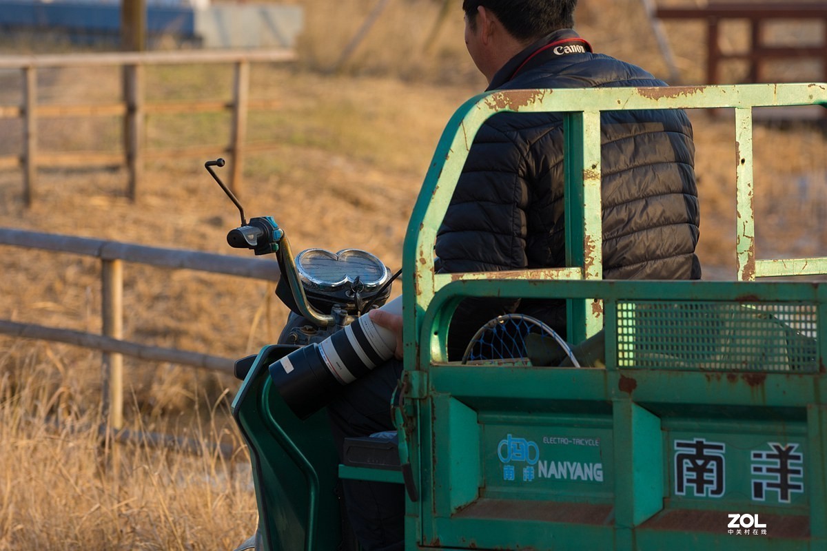 杭州湾湿地冬拍（19）