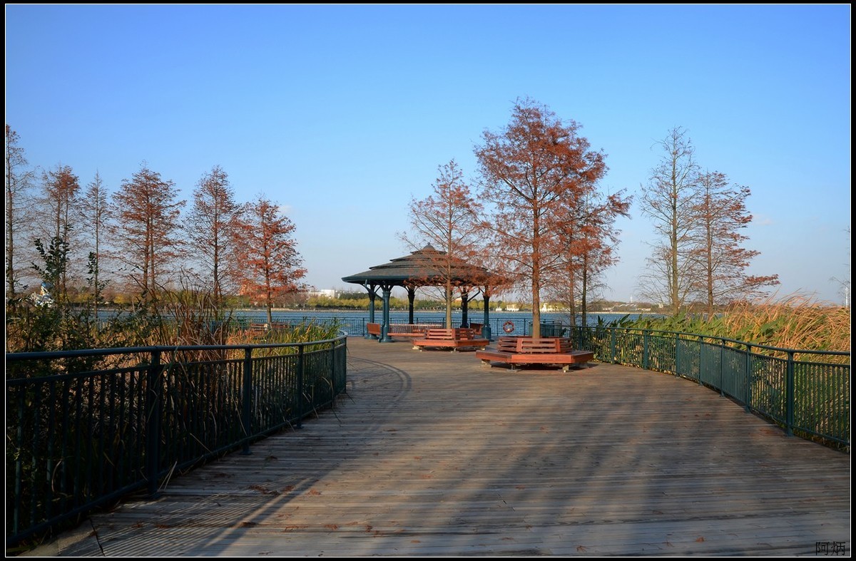 随拍3（迪士尼小镇）