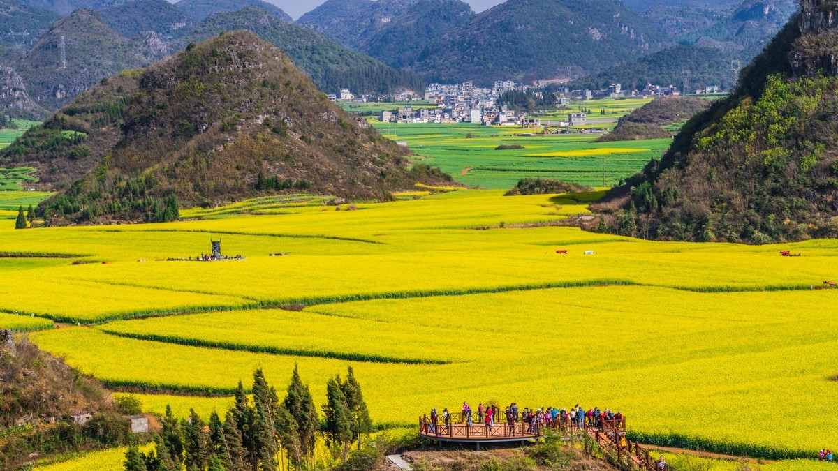 云南的春十九罗平金鸡峰丛景区之二