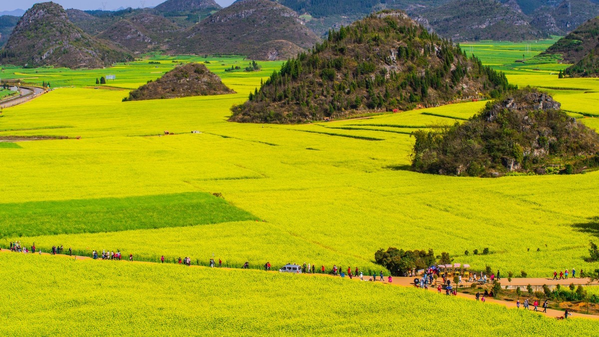 云南的春十九罗平金鸡峰丛景区之二