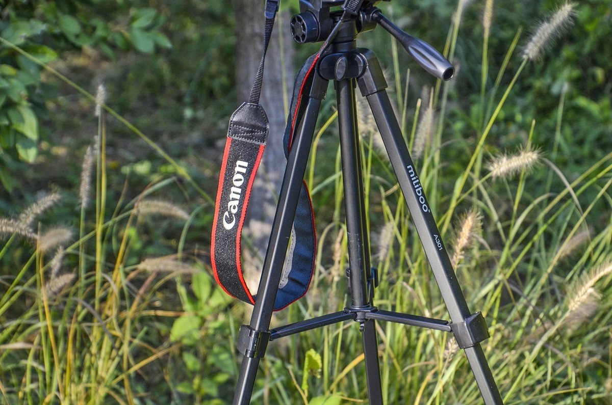 出片稳定、便携好用：Miliboo米泊A301三脚架