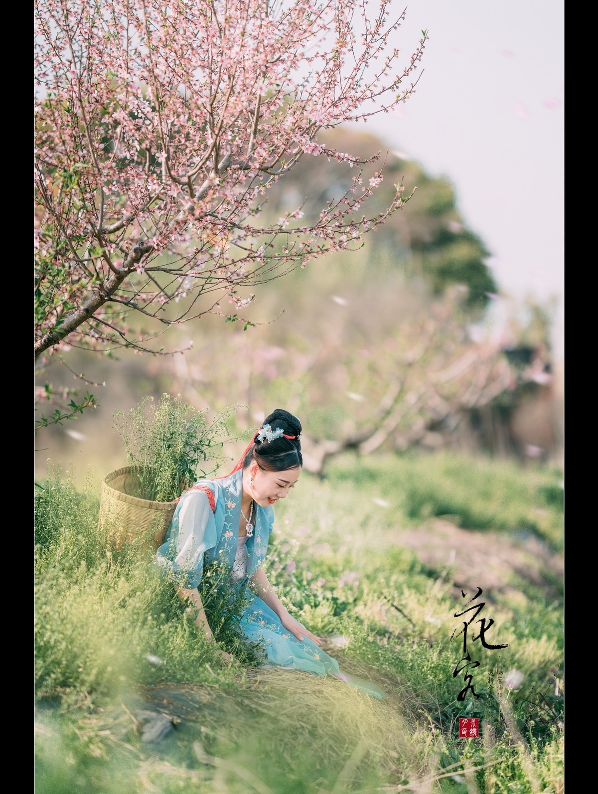 花容-中关村在线摄影论坛