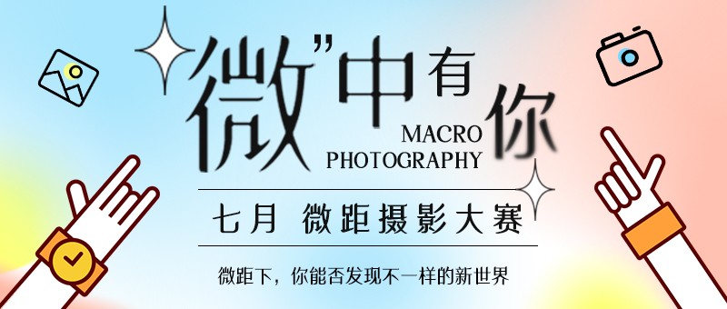 7月摄影大赛—“微”中有你  发现不一样的微观世界【获奖名单公布】】