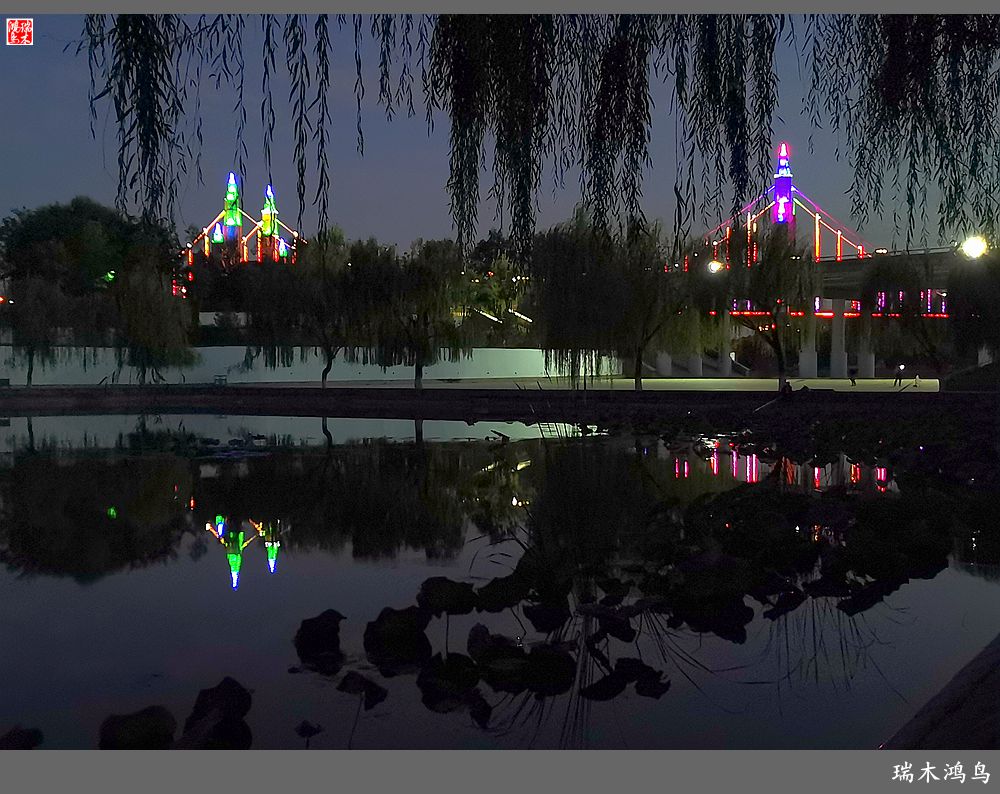 【追寻醉美秋色】35.美轮美奂昌平南环大桥点亮昌平唯美的夜色