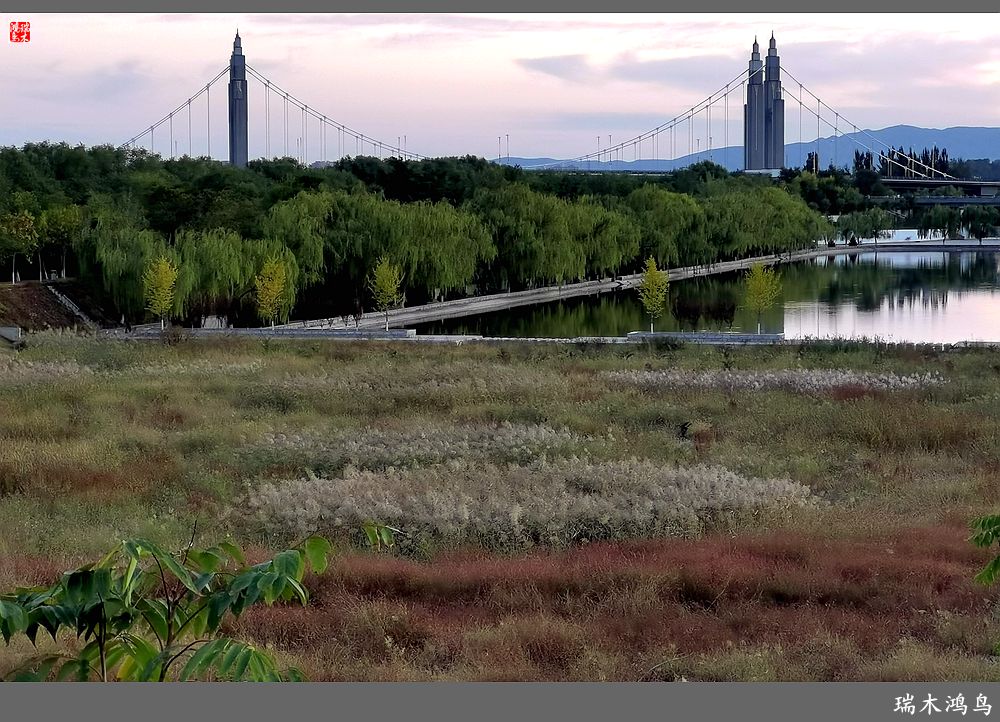 【追寻醉美秋色】35.美轮美奂昌平南环大桥点亮昌平唯美的夜色