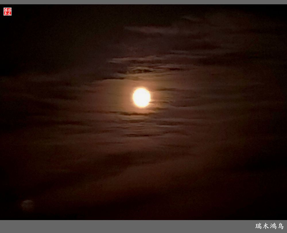 【追寻醉美秋色】35.美轮美奂昌平南环大桥点亮昌平唯美的夜色