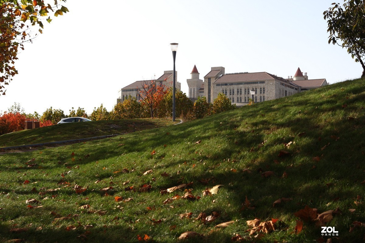 滨城游拍——东软园区之秋