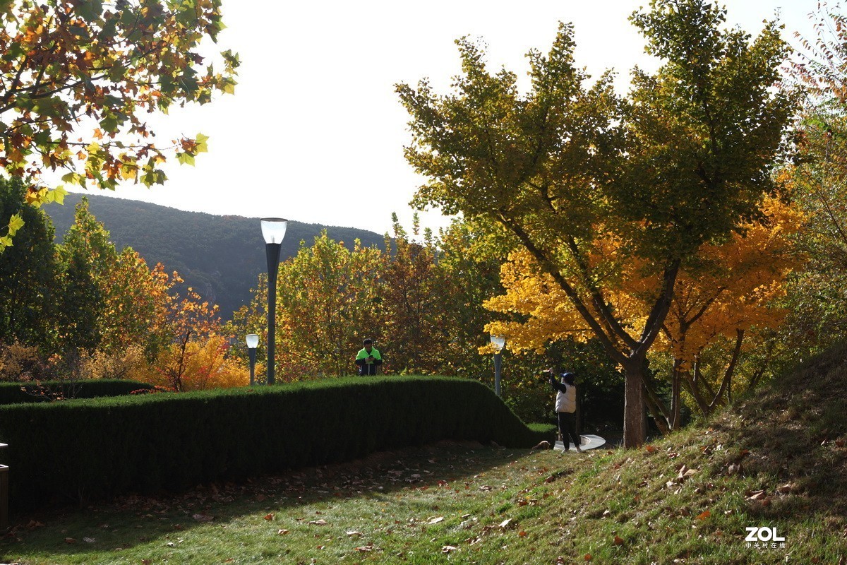 滨城游拍——东软园区之秋