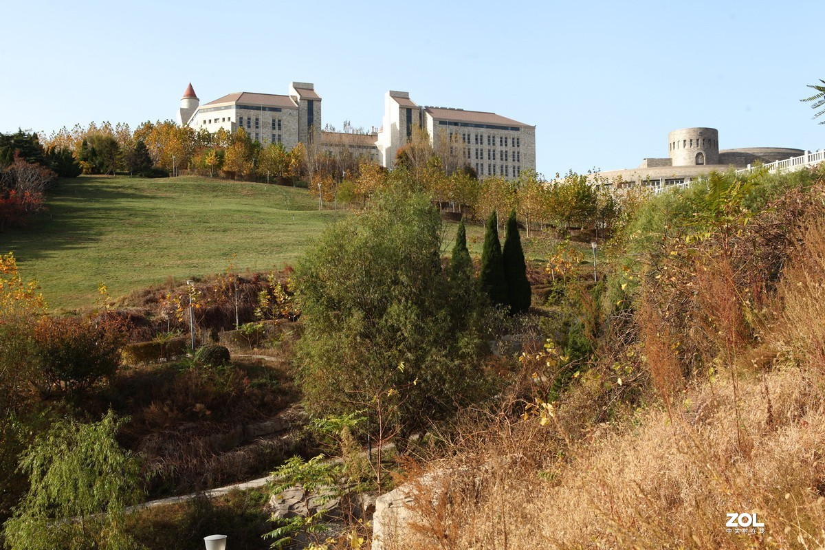 滨城游拍——东软园区之秋