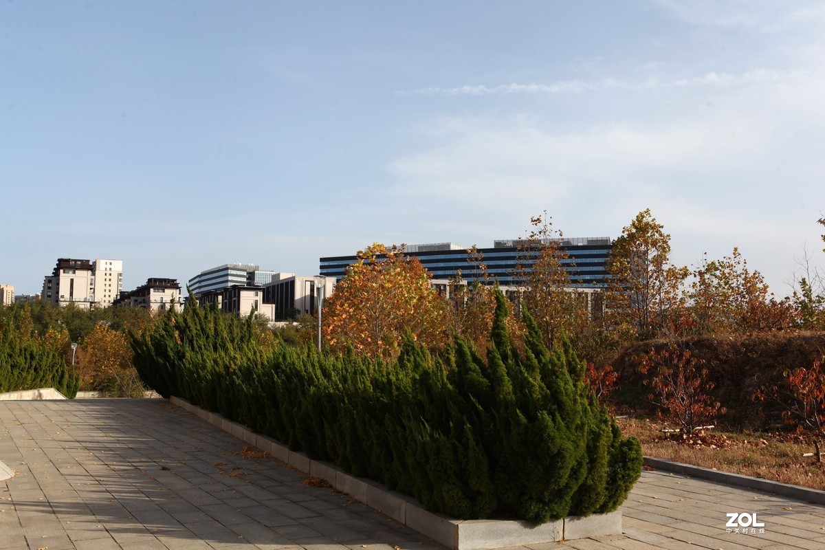 滨城游拍——东软园区之秋