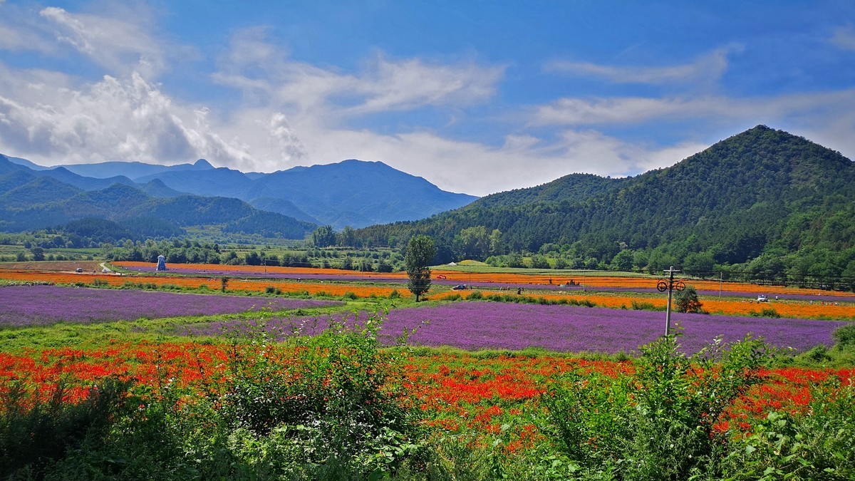 秋游延庆四季花海2109031