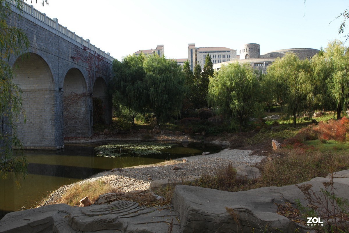 滨城游拍——东软园区之秋