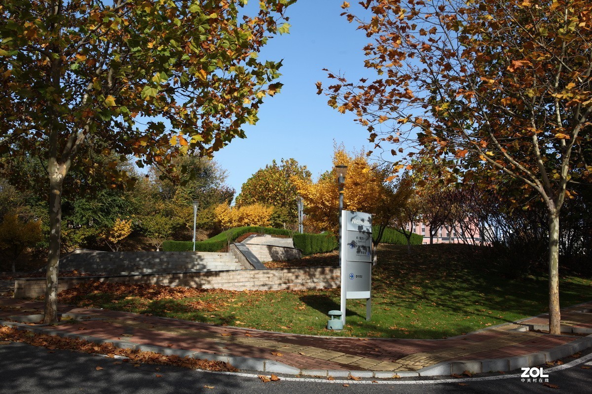 滨城游拍——东软园区之秋