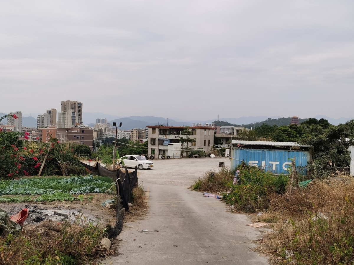 华为Mate30E Pro随拍，直出原图。