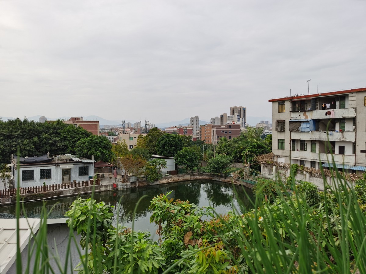 华为Mate30E Pro随拍，直出原图。