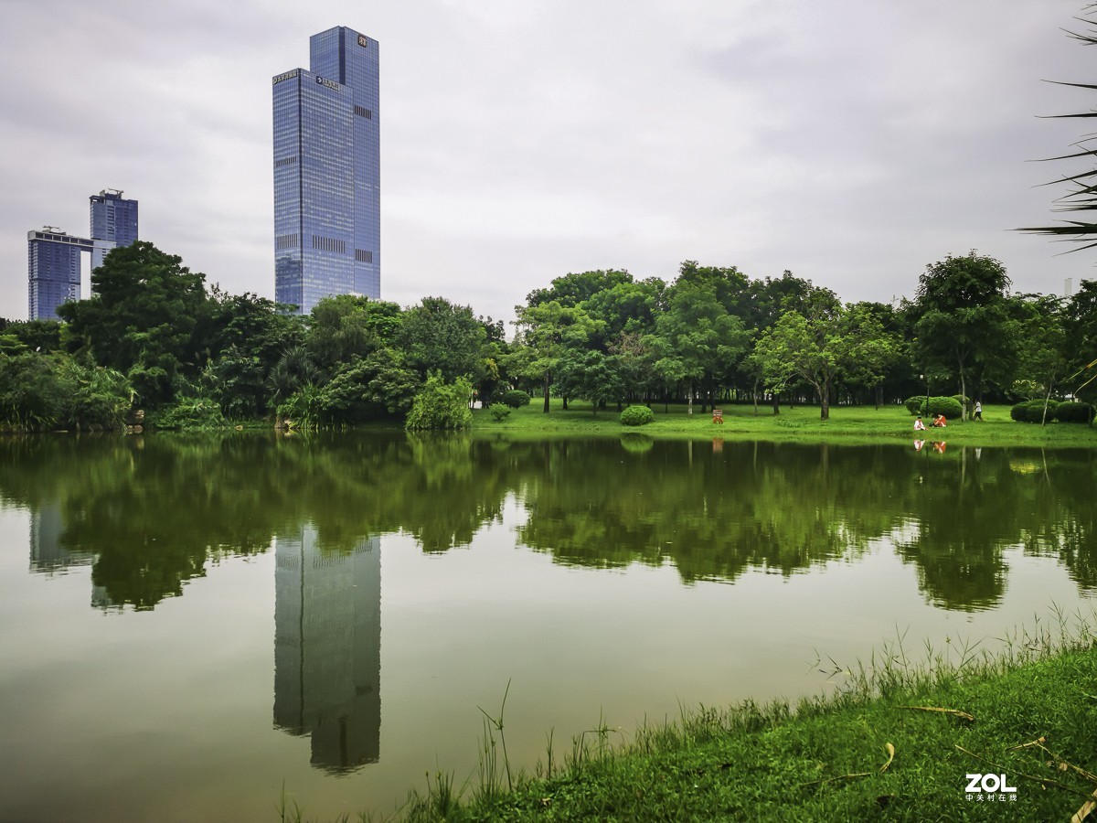 深圳莲花山公园掠影