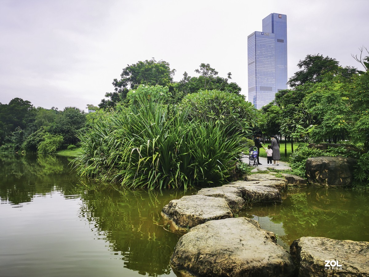 深圳莲花山公园掠影