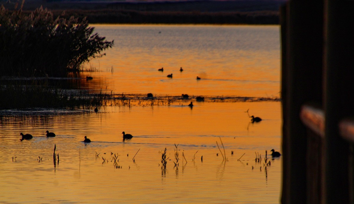 居延海觀日出(下)