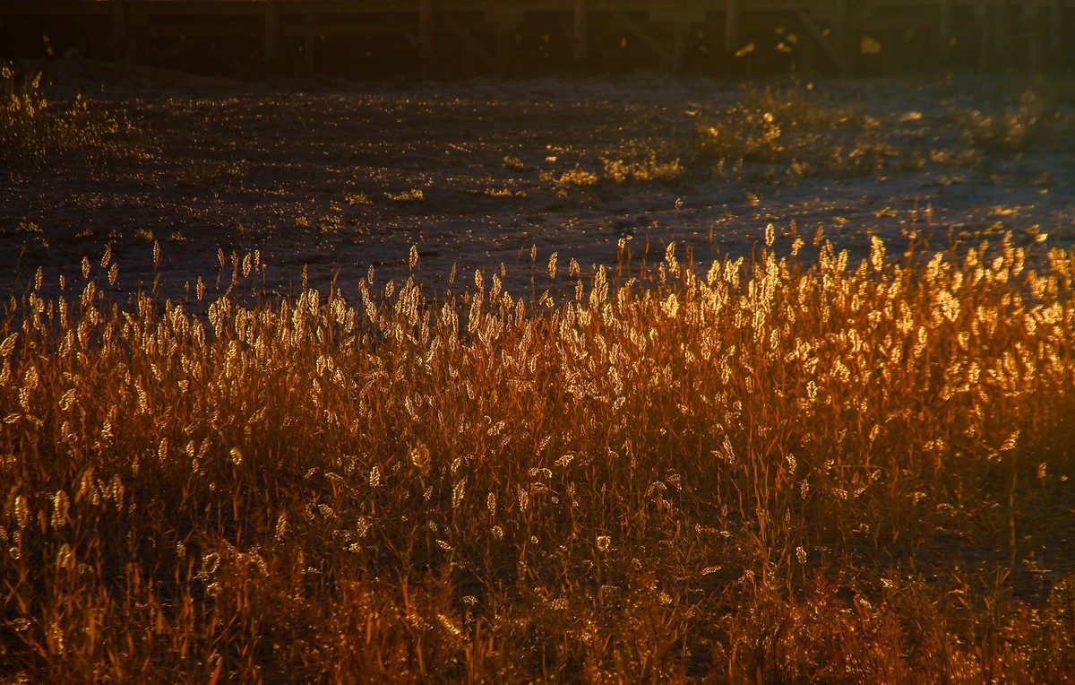 居延海觀日出(下)