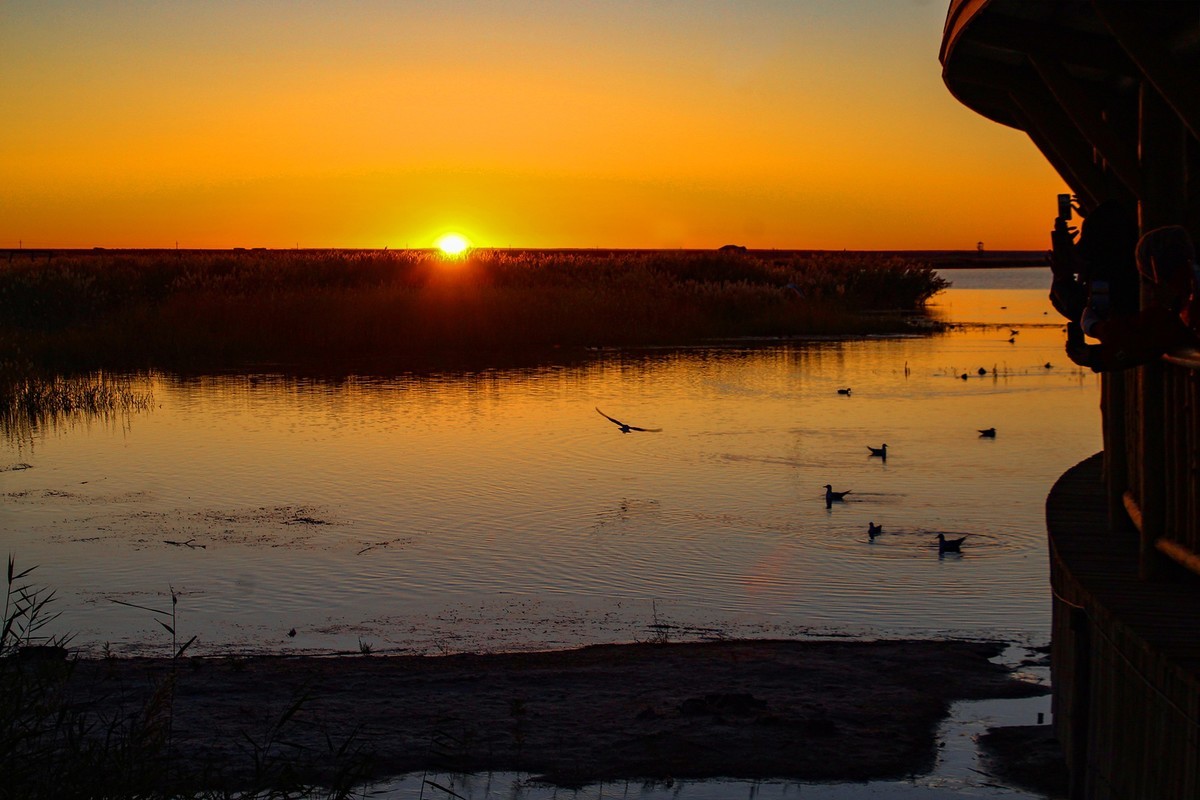 居延海觀日出(下)