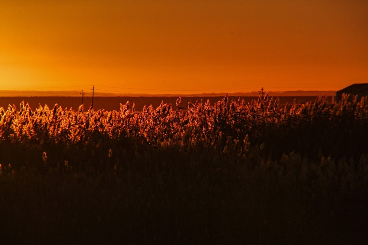 居延海觀日出(下)