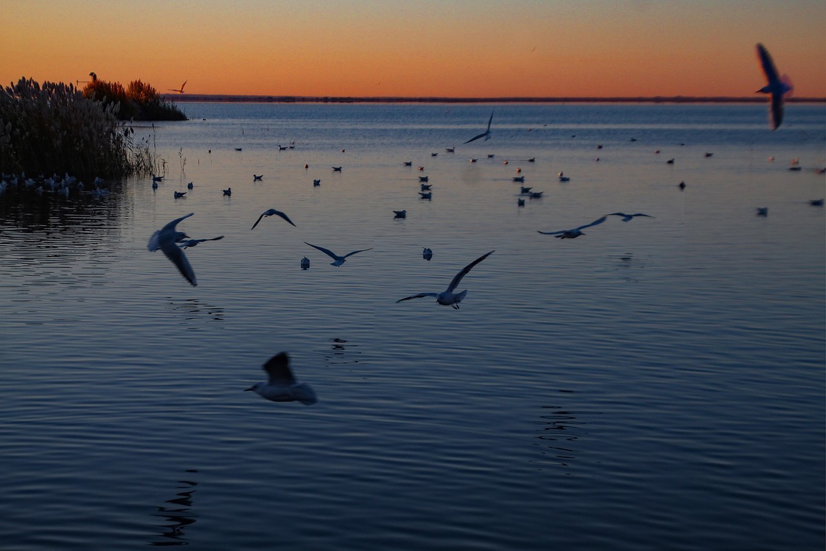 居延海觀日出(下)
