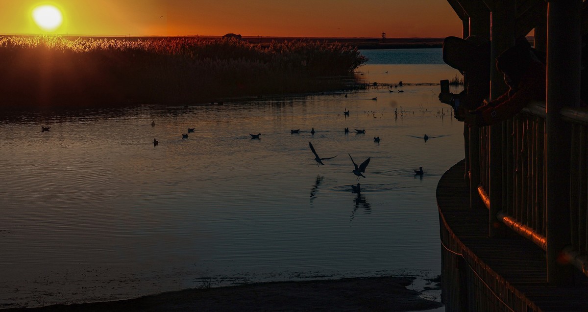 居延海觀日出(下)