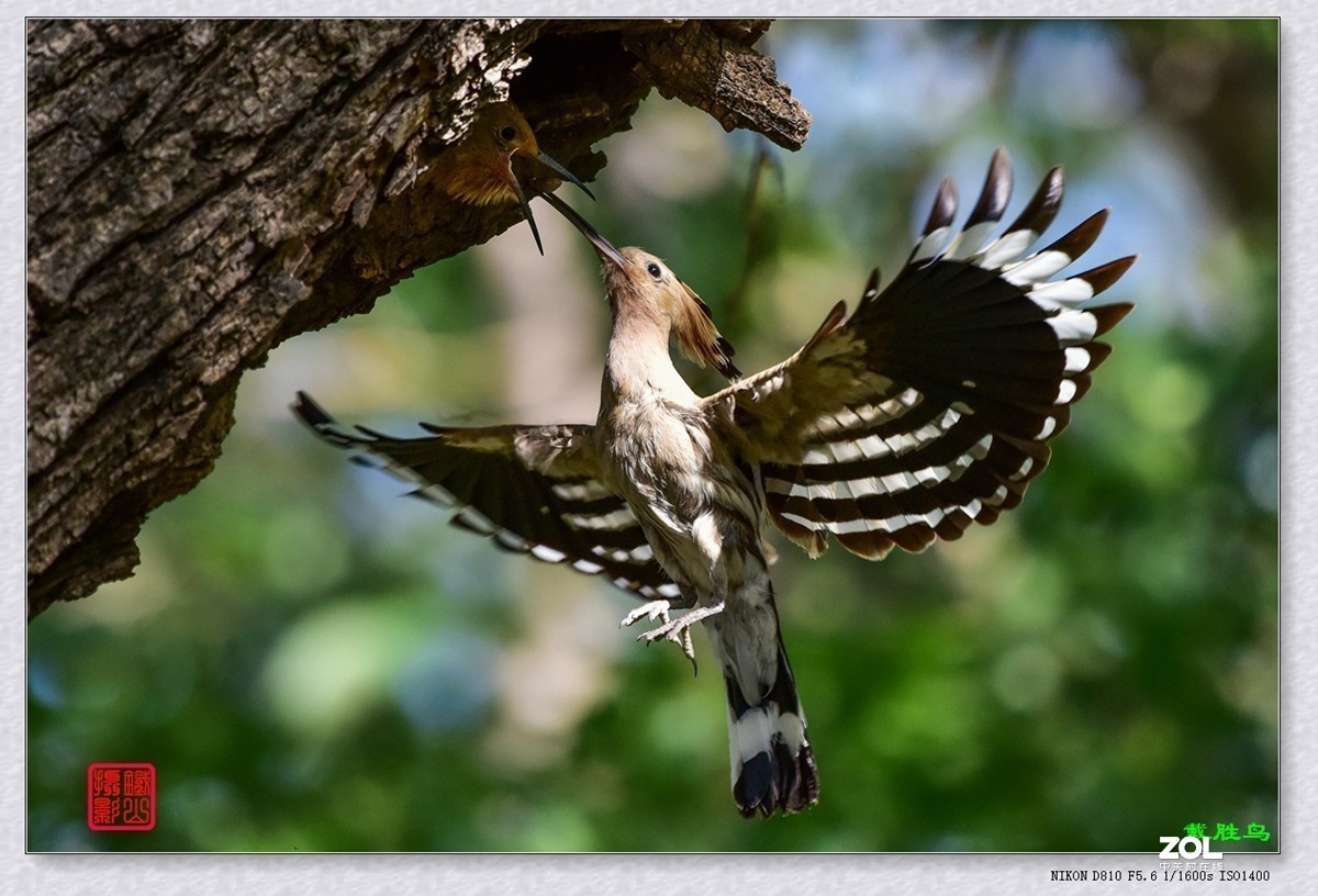 #版主坐堂# 尼康镜头星空(中国)2020年8月部分优秀作品欣赏