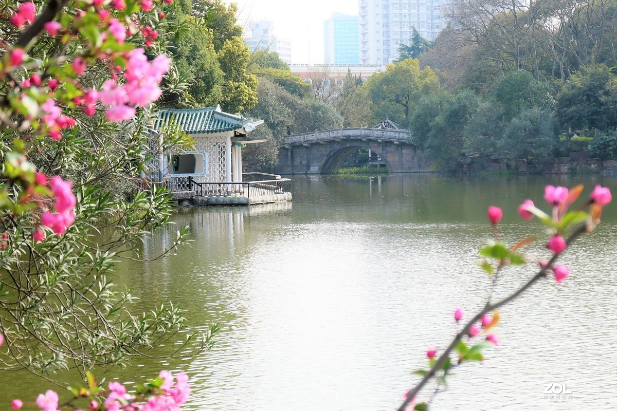 春天的湖景摄于上海天山公园
