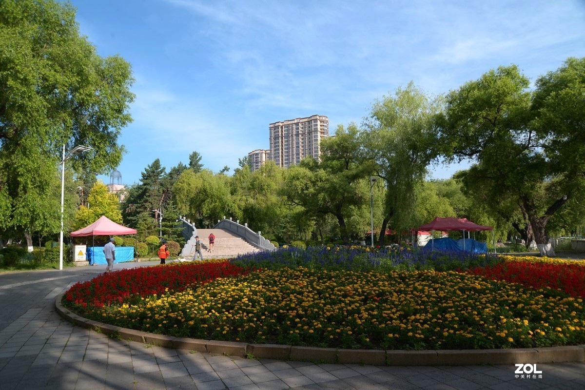 公园闲拍——小景（完）