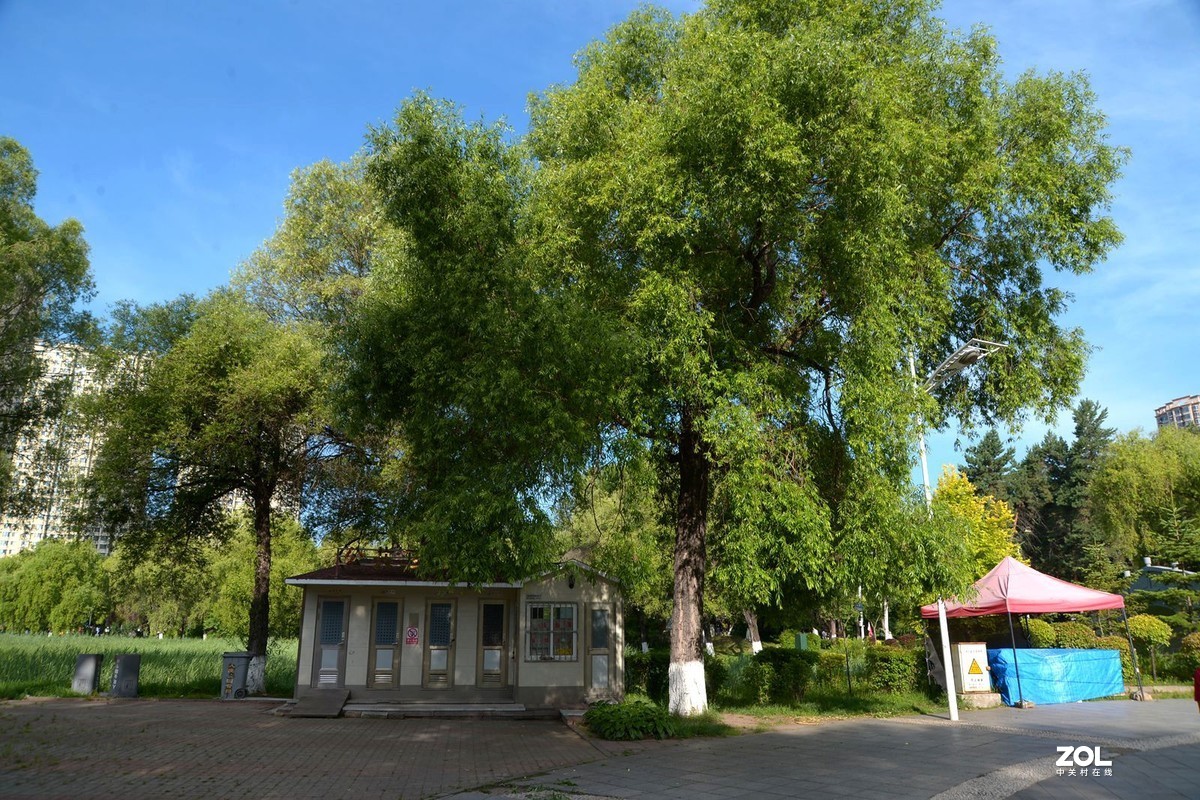 公园闲拍——小景（完）