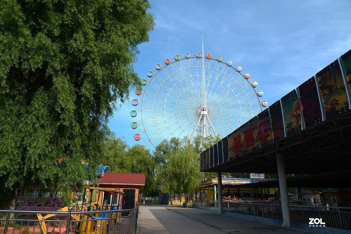 公园闲拍——小景（完）